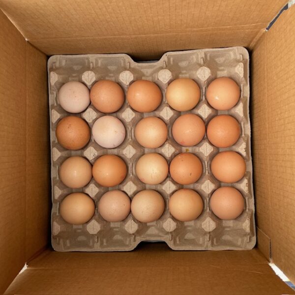 Free Range Eggs JUMBO 900g Lake Macquarie Sydney Home Delivery Tray