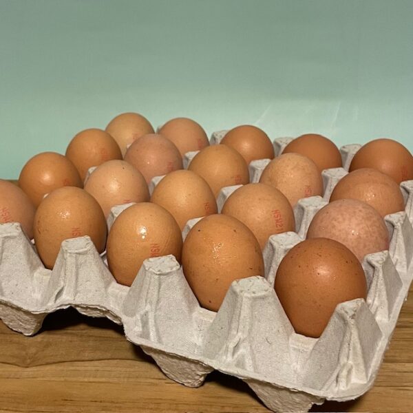 Free Range Eggs JUMBO 900g Lake Macquarie Sydney Home Delivery