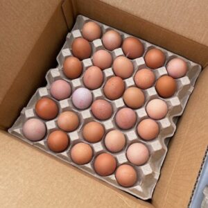 Lake Macquarie free range catering pack 180 eggs home delivery sydney