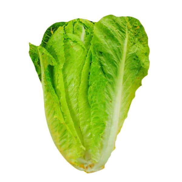 Australian Grown Cos Lettuce - Home Delivery Sydney